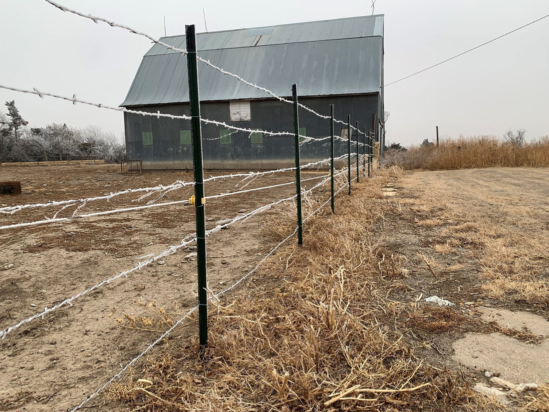 Welcome to Higgason Cattle Company